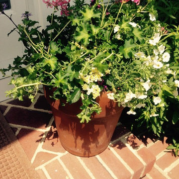 Container Gardens