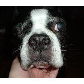 Josh Marcy's photo