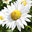 John Morris Stable & Greenery Inc.