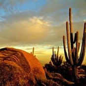 Jane Bush's photo