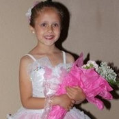 Robert Levis's photo