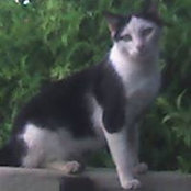 Sheila Barrett's photo