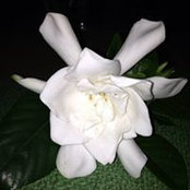 Michele Tatum's photo
