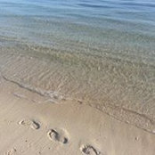Bertha Camachos foto