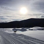 Regina Ag's photo