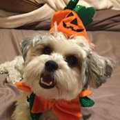 Cindy Eastwood's photo