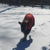 Nancy Paschall's photo