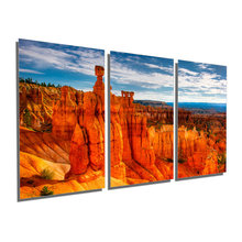 Metal Art Prints