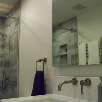Tempe contemporary master bath