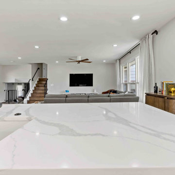 Retro Modern Interior Remodel in Vienna Shines