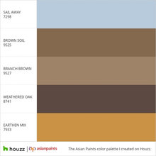 color palette