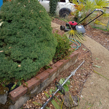 Outdoor Cleanup and Landscape Restoration