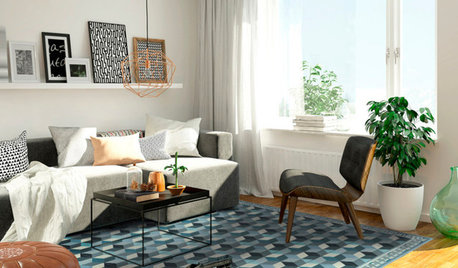 Quirky Rugs Make a Colour Statement