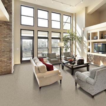 Modern Carpet | Karastan