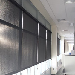 Commercial Office Building - Roller Shades