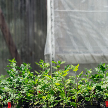 Cut Flower Garden book