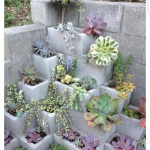 cinder blocks