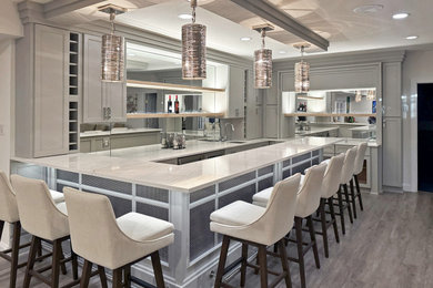 Large transitional l-shaped vinyl floor and gray floor wet bar photo in DC Metro with an undermount sink, recessed-panel cabinets, gray cabinets, quartzite countertops and white countertops
