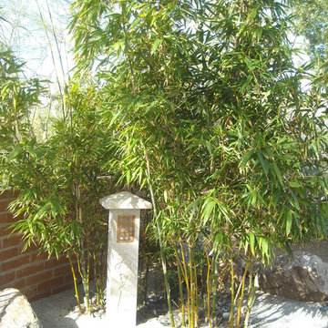 Japanese Gardens