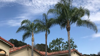 Tree and palm pruning.