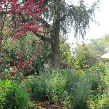 Water harvesting xer