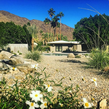 Desert Landscaping Project
