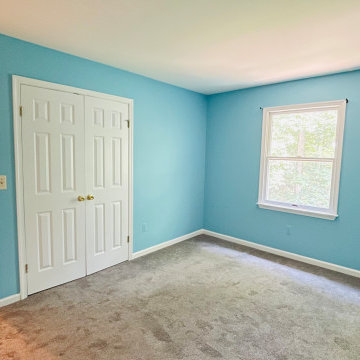 Molding Installation and Painting