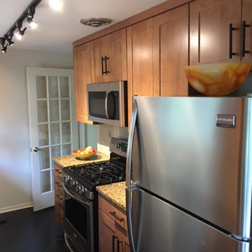 Contemporary Kitchen Remodel