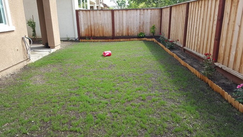need help with patchy lawn 3 weeks from seeding a new lawn need help with patchy lawn 3 weeks from seeding a new lawn