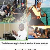 Bamsi Bahamas's photo