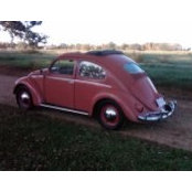 Steven Hoyt's photo