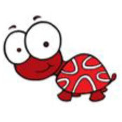 tortugaroja's photo