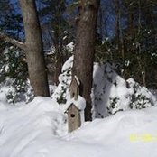 Foto von Denise Ledoux