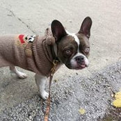 Mozzie Lane's photo