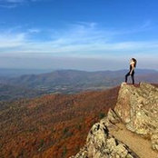 Mallory B's photo