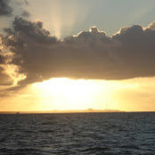 Gayle Schonert's photo