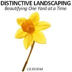 Distinctive Landscaping