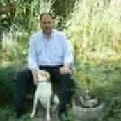 Franco Ioans billede