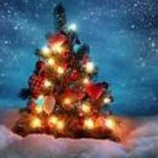 Brandy Panariello's photo