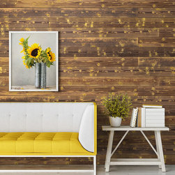 Charred Shiplap - Wall Panels