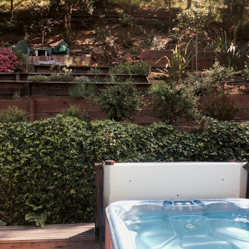 Contemporary Landscaping