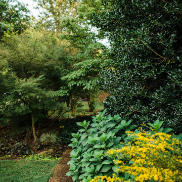 Vibrant Plantings and Woodland Paths