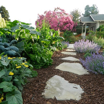 Winter Garden 7