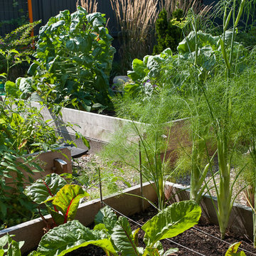 Raised vegetable garden