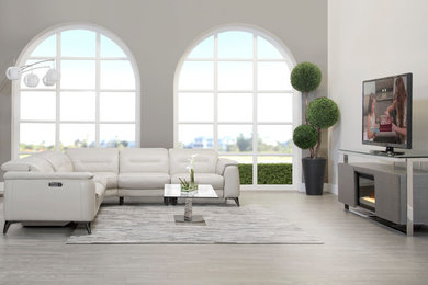 Living room - modern living room idea in Other