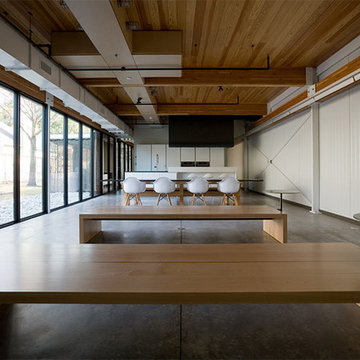 Dallas Modern