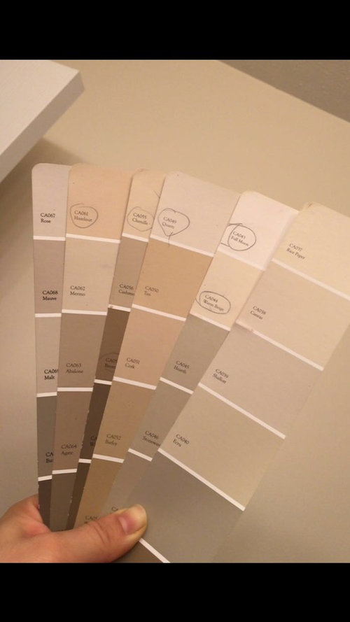 Cloverdale Paint Color Swatches With Paintcolor Ideas Youll Have No