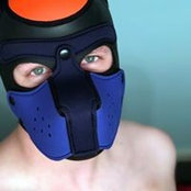 Kit Bauhauss foto
