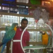 Hassan Ali's photo