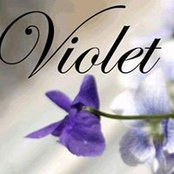 Violet Thảo's photo
